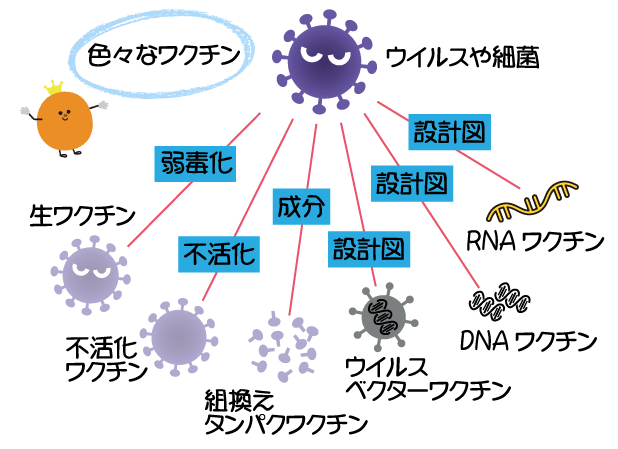RNAワクチンなど色々なワクチン