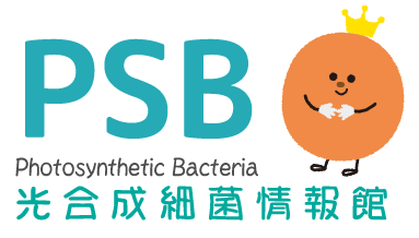 PSB 光合成細菌情報館
